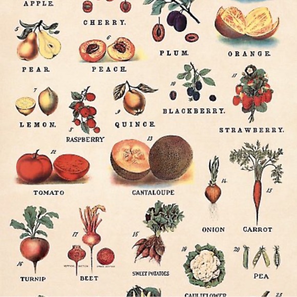 Cavallini & Co. Fruits & Vegetables Vintage Image Chart, 20” x 28” Inch - NWT - Picture 4 of 7